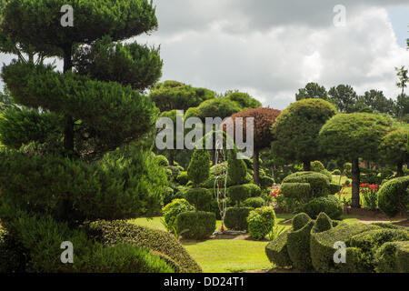 Pearl Fryar without any horticultural experience turned discarded plants into an amazing topiary wonderland in his former corn field in a tiny village in rural South Carolina. Stock Photo