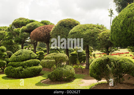 Pearl Fryar without any horticultural experience turned discarded plants into an amazing topiary wonderland in his former corn field in a tiny village in rural South Carolina. Stock Photo