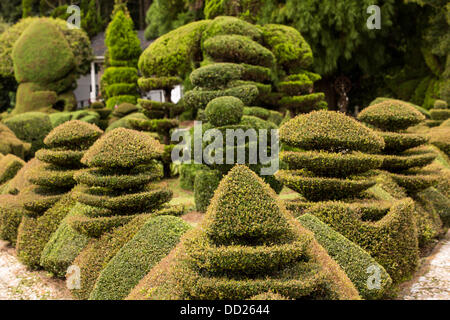 Pearl Fryar without any horticultural experience turned discarded plants into an amazing topiary wonderland in his former corn field in a tiny village in rural South Carolina. Stock Photo