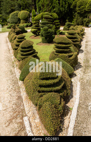 Pearl Fryar without any horticultural experience turned discarded plants into an amazing topiary wonderland in his former corn field in a tiny village in rural South Carolina. Stock Photo