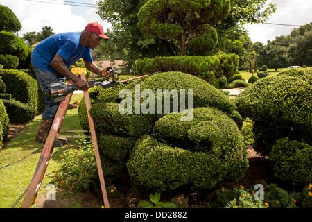 Pearl Fryar without any horticultural experience turned discarded plants into an amazing topiary wonderland in his former corn field in a tiny village in rural South Carolina. Stock Photo