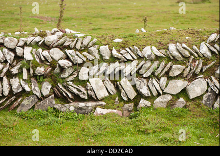 Herringbone pattern stone wall, Skokholm Island, South Pembrokeshire, Wales, United Kingdom Stock Photo