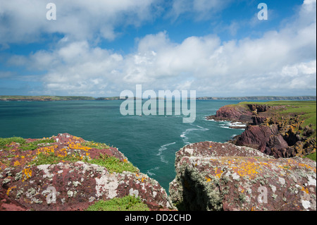 View along the coast from Mad Bay Point, Skokholm, South Pembrokeshire, Wales, United Kingdom Stock Photo