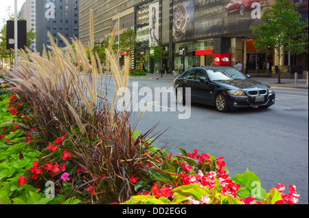 Bloor street west hi-res stock photography and images - Alamy