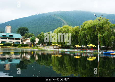 Willow trees at the lake in Vanadzor city, Armenia. Stock Photo