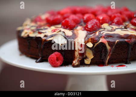 Chocolate and raspberry cake Stock Photo