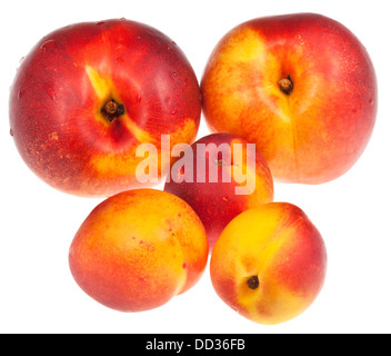 several ripe nectarines isolated on white background Stock Photo