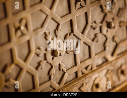 Ornament on an ancient metal door. India, Jaipur Stock Photo