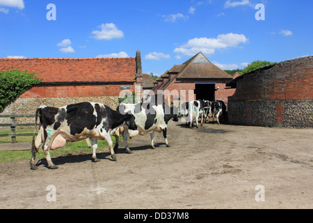 Dairy farm near Mickleham between Dorking and Leatherhead, Surrey, England UK Stock Photo