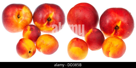set of red and yellow ripe nectarines isolated on white background Stock Photo