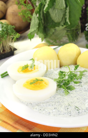 Frankfurt green sauce with chervil and cress Stock Photo