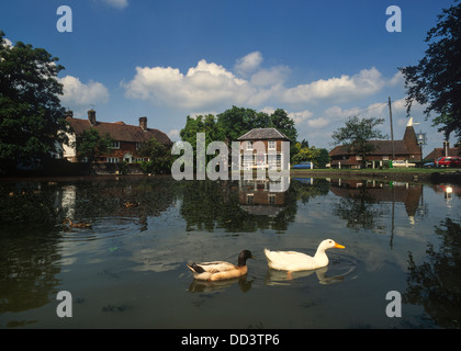 Duck pond. Goudhurst village. Weald of Kent, England. UK Stock Photo