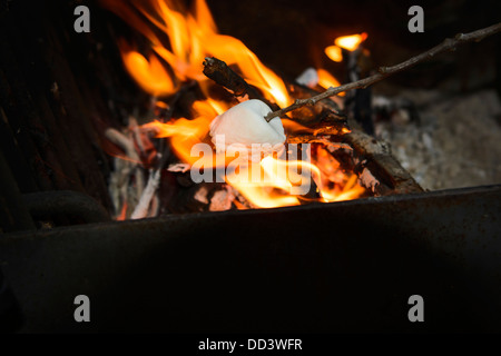 Classic campfire treat, roasting marshmallows on a stick over an open fire. Stock Photo