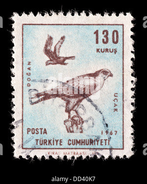 Postage stamp from Turkey depicting a falcon. Stock Photo