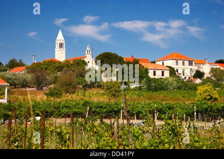 Lumbarda, island Korcula Stock Photo