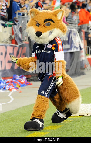 FOXBOROUGH, MA - JUNE 10: Slyde, the New England Revolution mascot