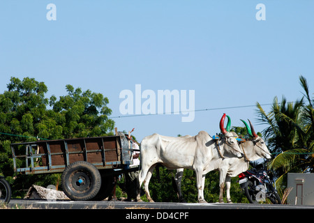 Bullock cart carts, in Tamil nadu; India Stock Photo