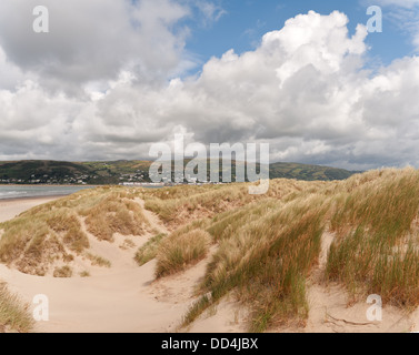 Marram grass amongst Ynyslas sand dunes stabilising the still growing rolling shingle ridge and sandy mounds Stock Photo