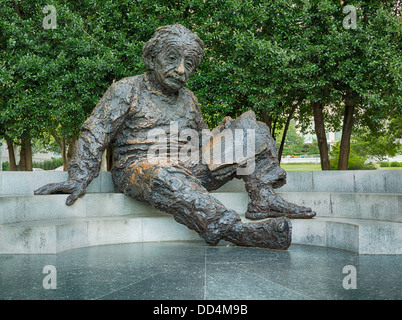 The Albert Einstein statue is a memorial bronze statue in the National Academy of Science grounds Washington DC, USA Stock Photo