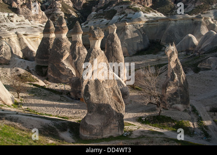 Typical landscape with hoodoos (or fairy chimneys) in Cappadocia, Turkey Stock Photo