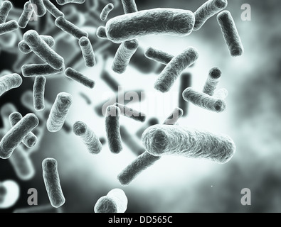 Bacteria cells large resolution medical background Stock Photo