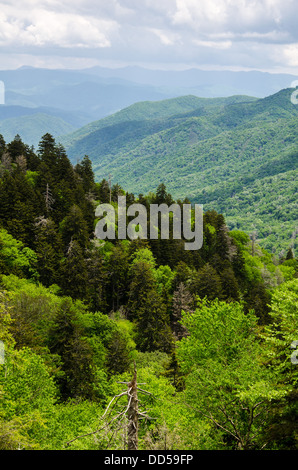 Vista from the approach road to Clingman's Dome in the Great Smoky Mountains National Park Stock Photo
