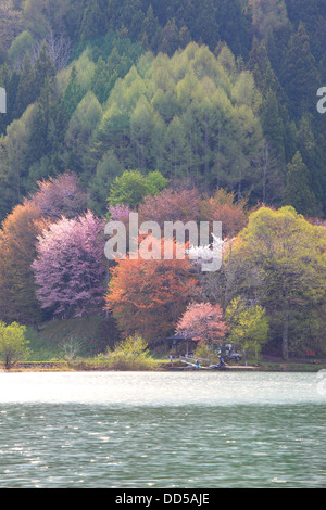 Forest and lake Nakatsu, Nagano Prefecture Stock Photo