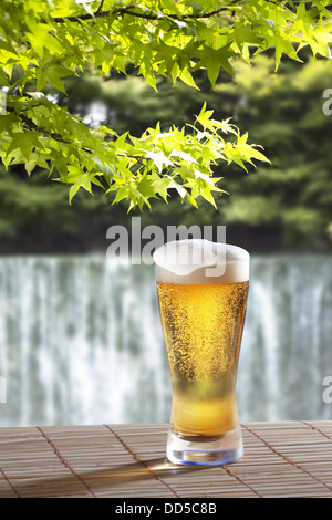 Glass of beer and green leaves Stock Photo