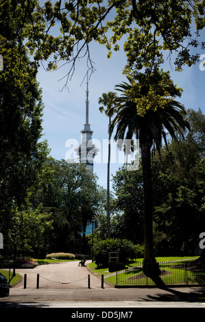 Auckland, New Zealand, January 23, 2012: the Sky Tower, framed by the trees of Auckland's Albert Park Stock Photo