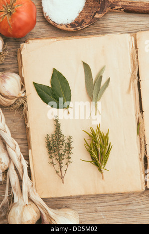 Herbs on vintage cook book Stock Photo