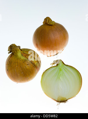 Food, Vegetables, Onions, Three ripe harvested onion bulbs or Allium against a white background with one sliced open Stock Photo