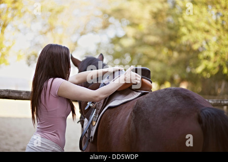 Young Woman Saddles A Horse, Baranja, Croatia, Europe Stock Photo