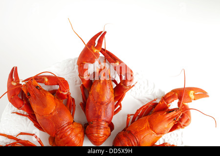 Fresh boiled cradwfish on white isolated background Stock Photo
