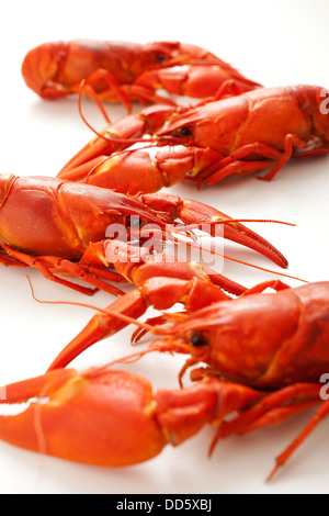 Fresh boiled cradwfish on white isolated background Stock Photo