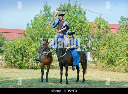 Traditional Hungarian 'Csikos' at a horse festival in the Hungarian town of Devavanya Aug 2013 Stock Photo