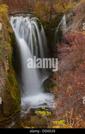 USA, South Dakota, Little Spearfish Creek. Scenic of Roughlock Falls. Stock Photo