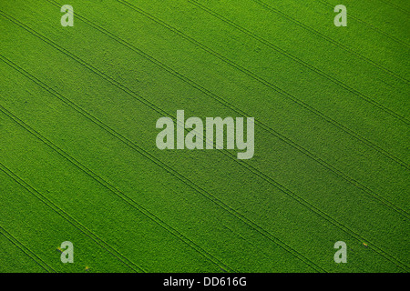 Aerial View, Farm Land, Croatia, Slavonia, Europe Stock Photo