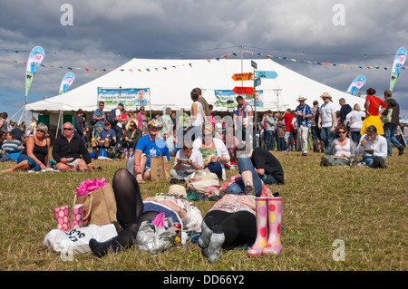 Horizontal view of people at a music festival enjoying the sunshine. Stock Photo