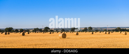 Hay bails in a field in Pickering, North Yorkshire, UK Stock Photo