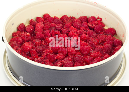 Cake in springform pan with raspberries Stock Photo