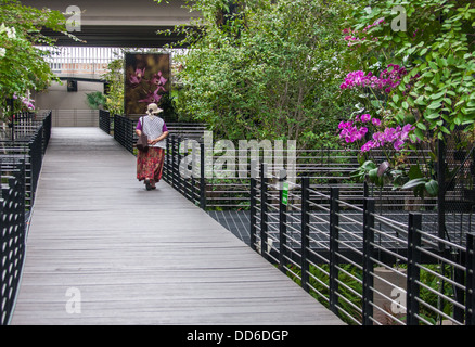 Picture taken in a park in Mexico City Stock Photo