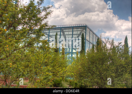 Picture taken in a park in Mexico City Stock Photo