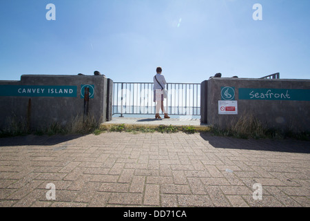 Canvey island Essex UK seafront female looking out to sea over barriers Stock Photo