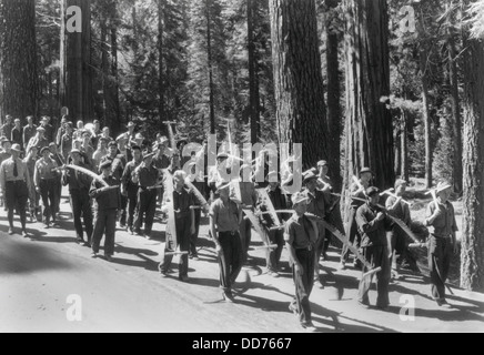 Civilian Conservation Corps (CCC) at work, ca. 1935. They are clearing ...