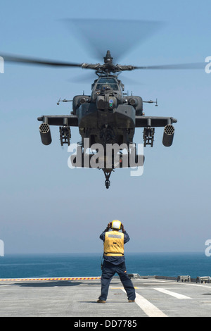 A US Army AH-64D Apache helicopter prepares to land on the flight deck of the USS Ponce during exercise Spartan Kopis August 11, 2013 in the Persian Gulf. Stock Photo
