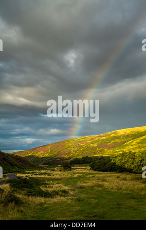 Rainbow over the Harthope Valley in beautiful evening light Stock Photo