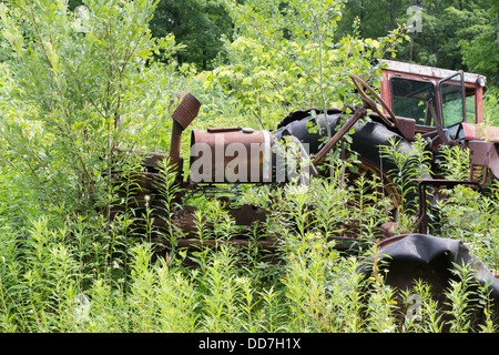 Abandoned farm equipment in the weeds Stock Photo