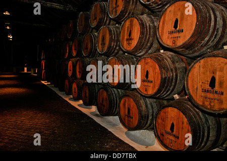 Port Wines and their makers under Terracotta roofs adjacent to the Douro River Sandeman Vintage Cellars,Porto,Oporto,Portugal Stock Photo