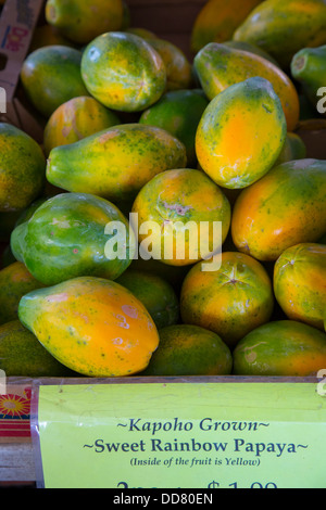 Farmers Market, Hilo, The Big Island of Hawaii Stock Photo