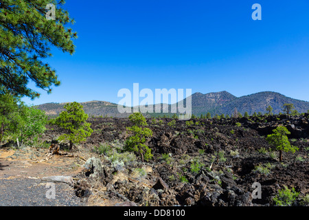 Viewpoint overlooking the Bonito Lava Flow, Sunset Crater Volcano National Monument, near Flagstaff, Arizona, USA Stock Photo